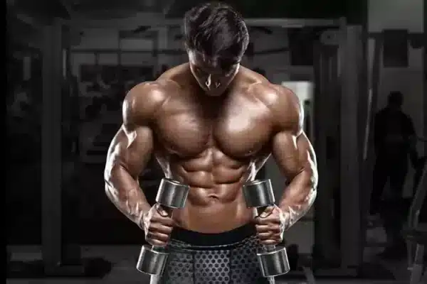 Are You Looking to Buy New Anabolic Steroids in the USA