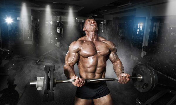 The Preference Of Steroids Use For Sports And Exercise Functions