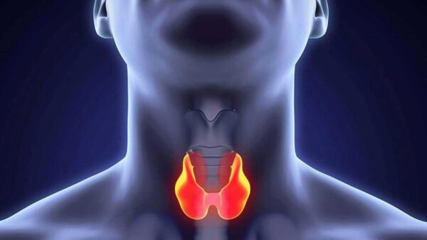 Thyroid Gland Therapy Using Novothyral