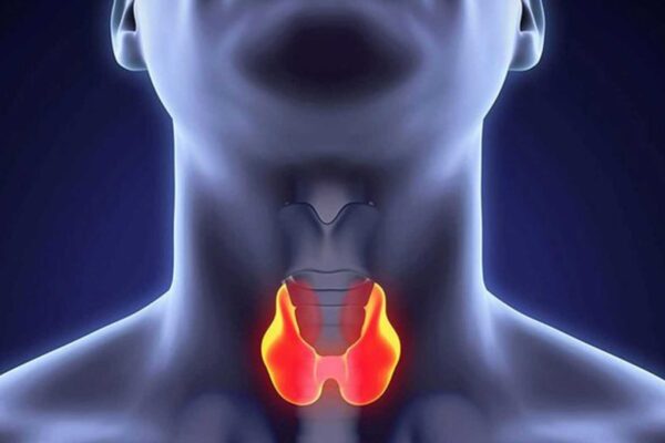 Thyroid Gland Therapy Using Novothyral