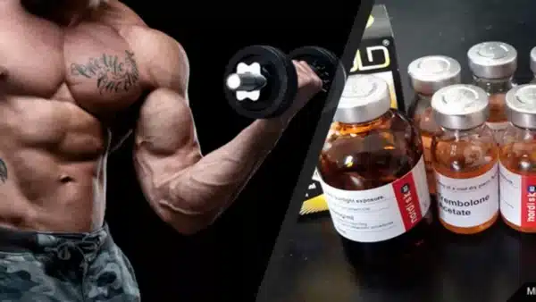 A Detailed Discussion on the Varied Aspects of Trenbolone